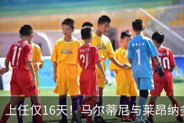 上任仅16天！马尔蒂尼与莱昂纳多被曝因新帅人选分歧愤而辞职